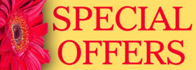 Special Offers