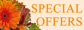 Special Offers November